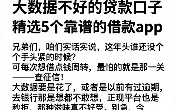 大数据不好的贷款口子,精选5个靠谱的借款app