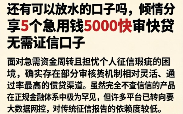 还有可以放水的口子吗,倾情分享5个急用钱5000快审快贷无需征信口子