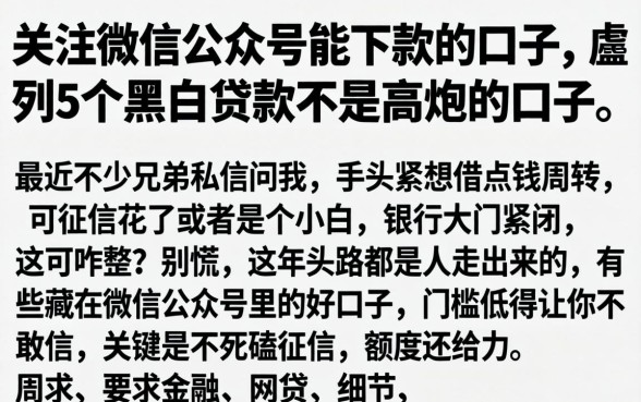 关注微信公众号能下款的口子,胪列5个黑白贷款不是高炮的口子