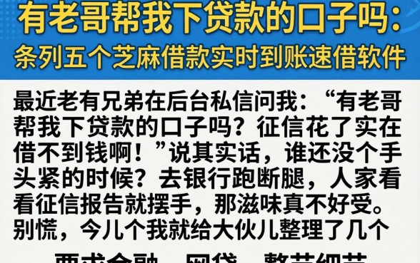 有老哥帮我下贷款的口子吗，条列五个芝麻借款实时到账速借软件