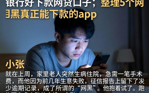 银行好下款的网贷口子，整理5个网黑真正能下款的app