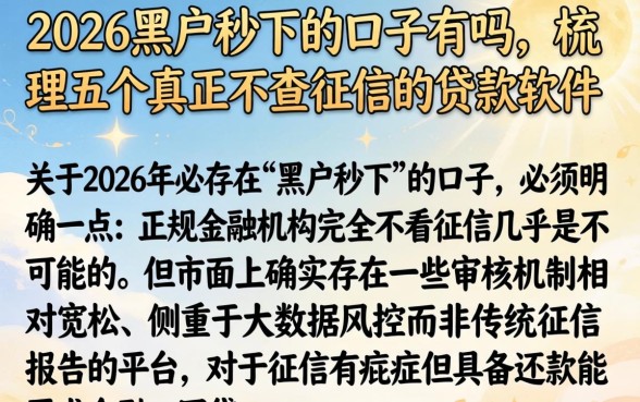 2026黑户秒下的口子有吗,梳理五个真正不查征信的贷款软件