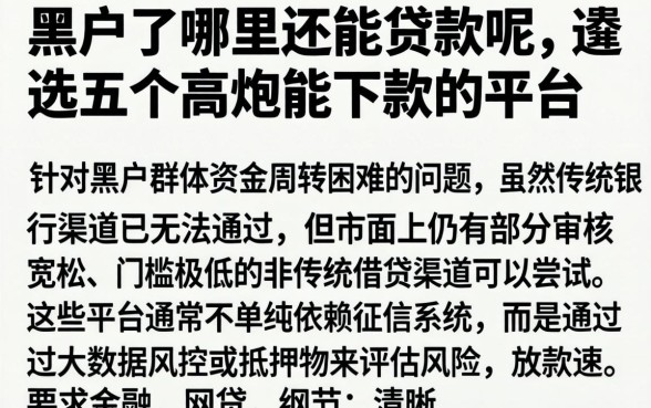 黑户了哪里还能贷款呢,遴选五个高炮能下款的平台