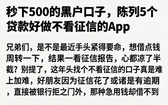 秒下500的黑户口子，陈列5个贷款好做不看征信的app