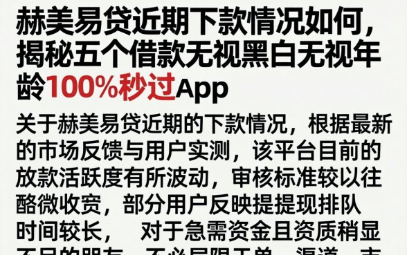 赫美易贷近期下款情况如何，揭秘五个借款无视黑白无视年龄100%秒过app
