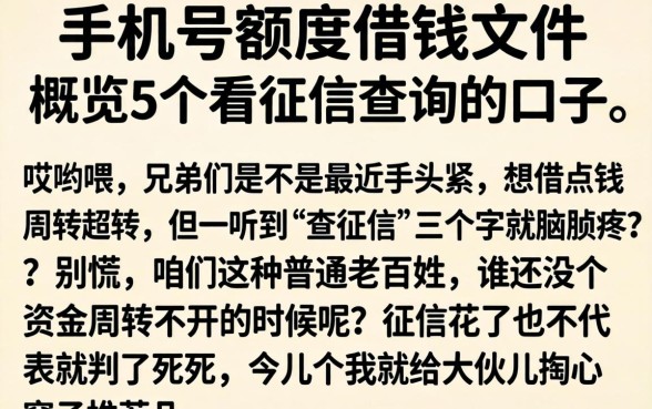 手机号额度借钱文件，概览5个不看征信查询的口子