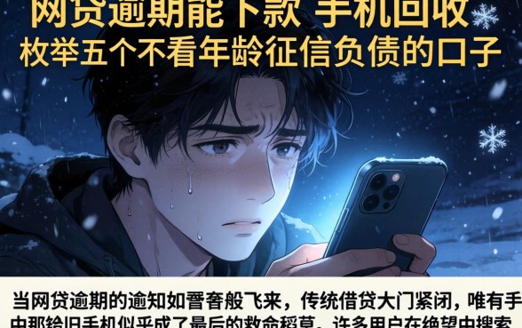 网贷逾期能下款的手机回收，枚举五个不看年龄征信负债的口子