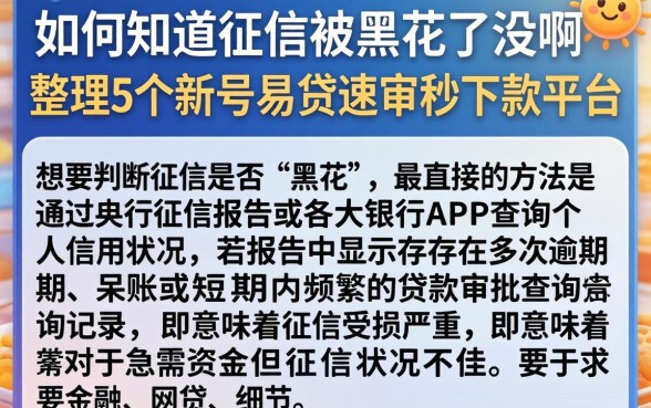如何知道征信被黑花了没啊,整理5个新号易贷速审秒下款平台