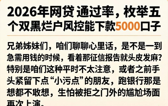 2026年网贷 通过率，枚举五个双黑烂户风控能下款5000口子