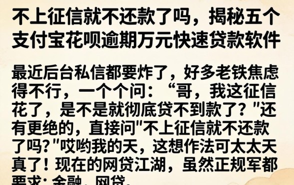 不上征信就不还款了吗，揭秘五个支付宝花呗逾期万元快速贷款软件