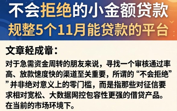 不会拒绝的小额贷款,规整5个11月能贷款的平台