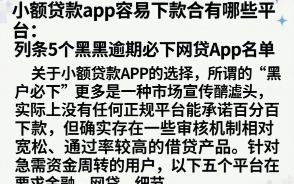 小额贷款app容易下款的有哪些平台，条列5个黑户逾期必下网贷app名单