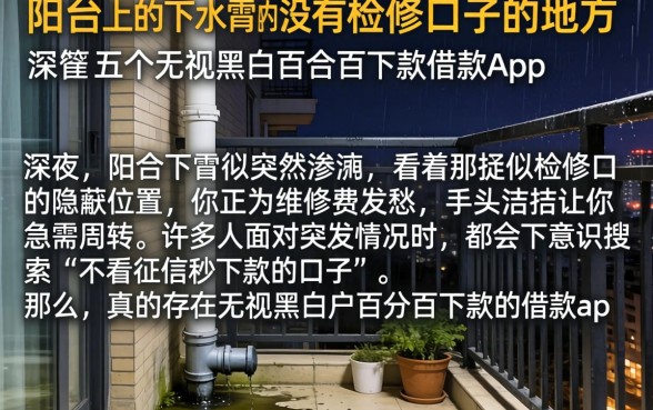 阳台上的下水管有没有检修口子的地方，罗列五个无视黑白百分百下款的借款app