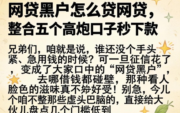 网贷黑户怎么贷网贷，整合五个高炮口子秒下款