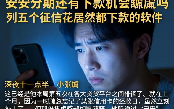 安安分期还有下款机会吗，胪列五个征信花居然都下款的软件