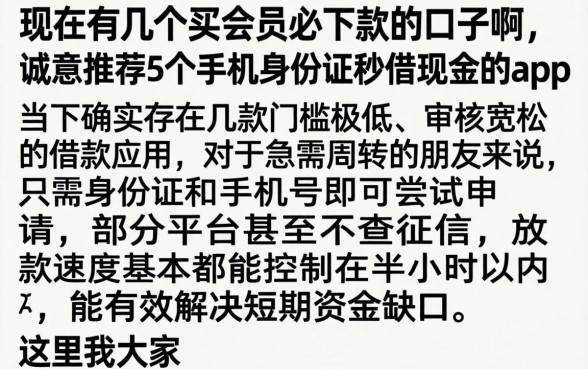 现在有几个买会员必下款的口子啊，诚意推荐5个手机身份证秒借现金的app