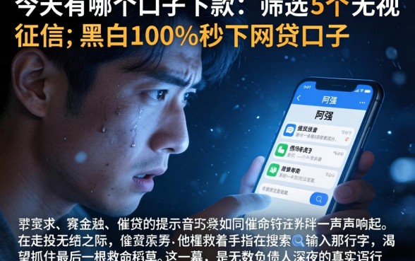 今天有哪个口子下款，筛选5个无视征信黑白100%秒下网贷口子