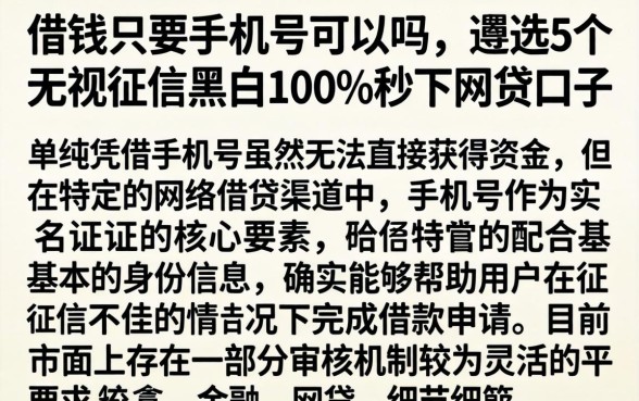 借钱只要手机号可以吗，遴选5个无视征信黑白100%秒下网贷口子