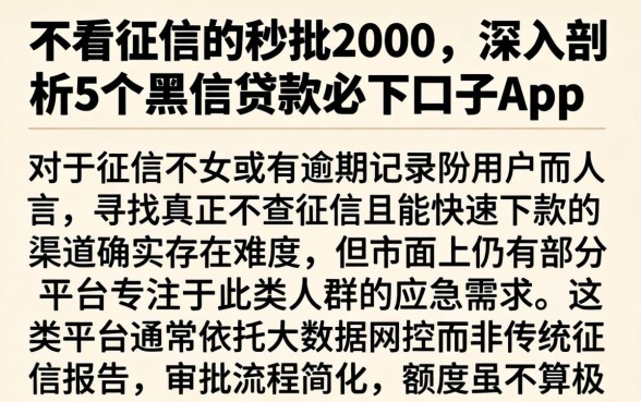 不看征信的秒批2000，深入剖析5个黑户贷款必下口子app