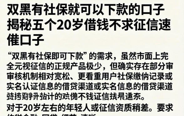 双黑有社保就可以下款的口子,揭秘五个20岁借钱不求征信速借口子