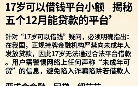 17岁可以借钱的平台小额,揭秘五个12月能贷款的平台