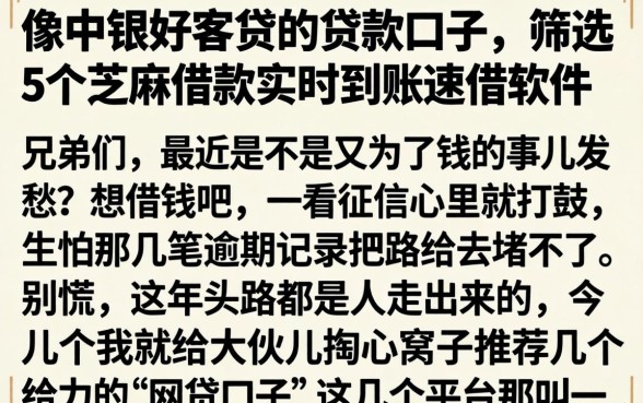 像中银好客贷的贷款口子，筛选5个芝麻借款实时到账速借软件