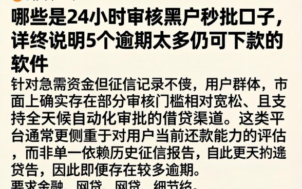 哪些是24小时审核黑户秒批口子，详尽说明5个逾期太多仍可下款的软件