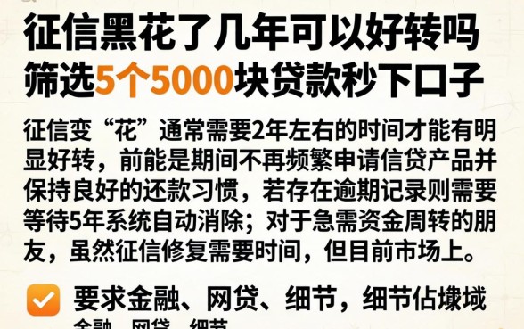 征信黑花了几年可以好转吗,筛选5个5000块贷款秒下口子