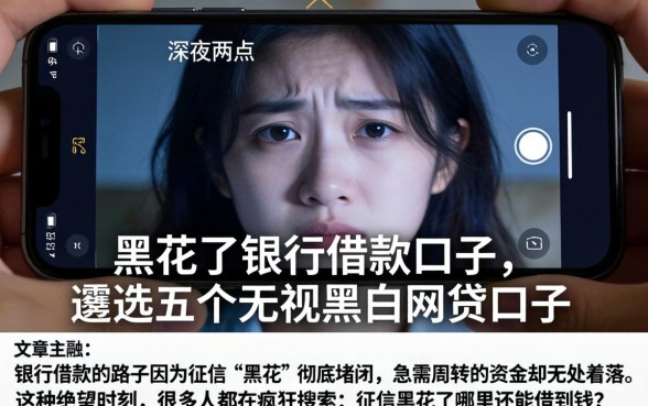 黑花了银行借款口子,遴选五个无视黑白的网贷口子