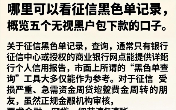 哪里可以看征信黑名单记录，概览五个无视黑户包下款的口子