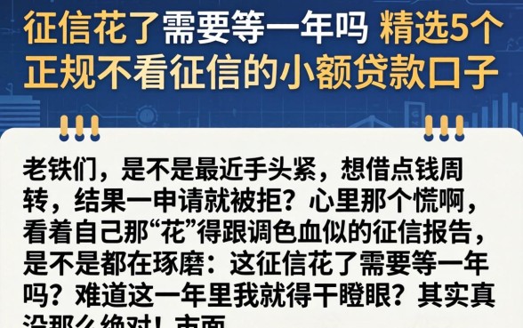 征信花了需要等一年吗，精选5个正规不看征信的小额贷款口子
