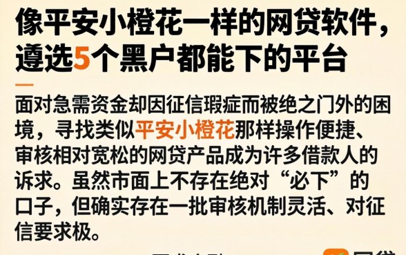 像平安小橙花一样的网贷软件，遴选5个黑户都能下的平台