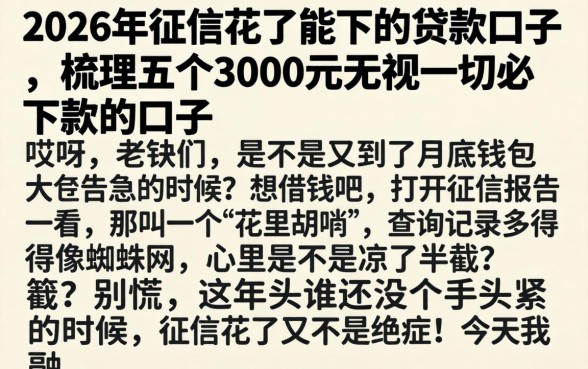 2026年征信花了能下的贷款口子,梳理五个3000元无视一切必下款的口子