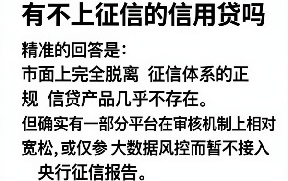 有不上征信的信用贷吗，精选五个最新能下来钱的平台