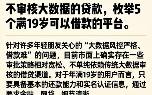 不审核大数据的贷款，枚举5个满19岁可以借款的平台