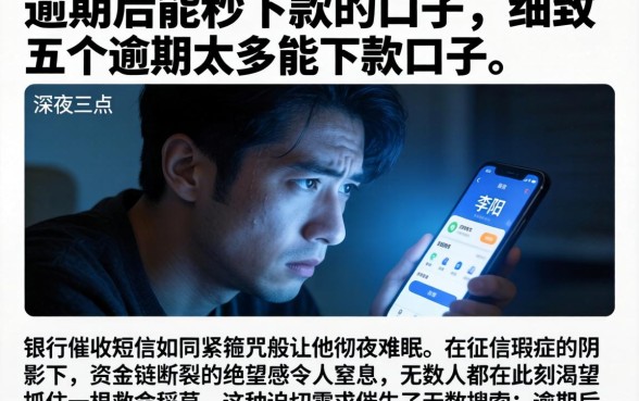 逾期后能秒下款的口子，细致阐述五个逾期太多能下款口子