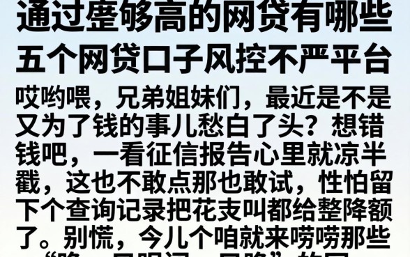通过率够高的网贷有哪些，详尽说明五个网贷口子风控不严的平台