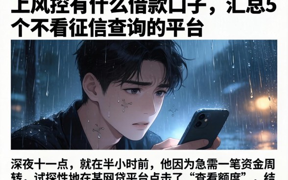 上风控有什么借款口子,汇总5个不看征信查询的平台