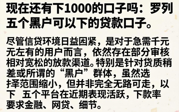 现在还有下1000的口子吗，罗列五个黑户可以下的贷款口子