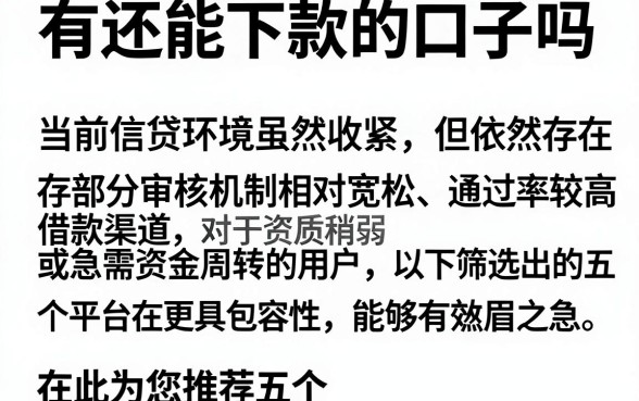 有还能下款的口子吗,筛选五个黑户都能下的app