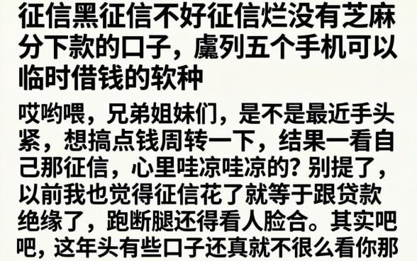 征信黑征信不好征信烂没有芝麻分下款的口子,胪列五个手机可以临时借钱的软件