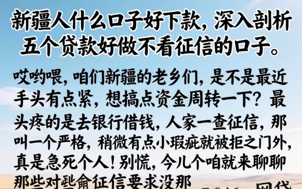 新疆人什么口子好下款，深入剖析五个贷款好做不看征信的口子