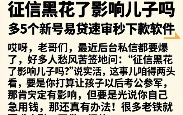 征信黑花了影响儿子吗，条列5个新号易贷速审秒下款软件