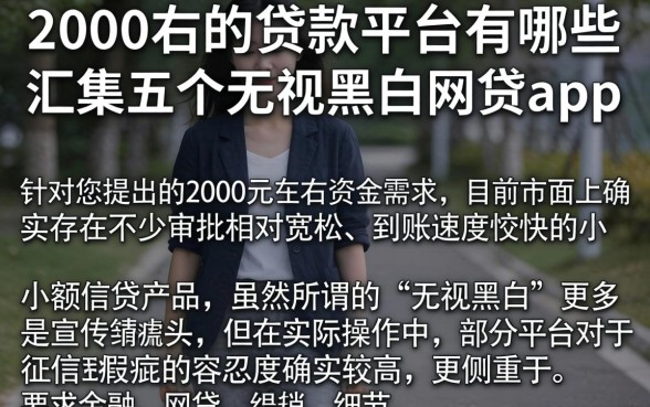 2000左右的贷款平台有哪些，汇整五个无视黑白的网贷app