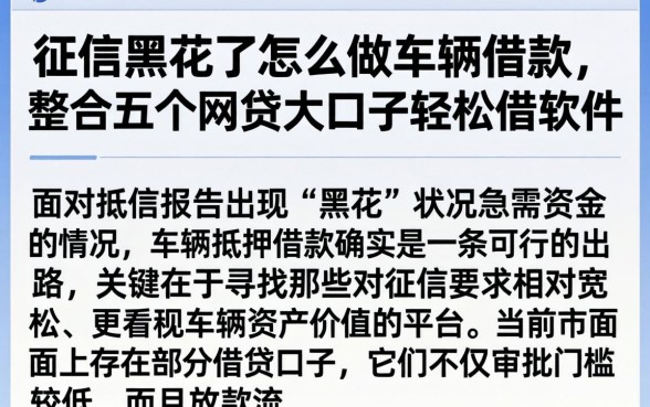 征信黑花了怎么做车辆借款，整合五个网贷大口子轻松借软件
