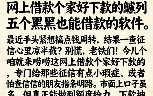 网上借款哪家好下款的，胪列五个黑户也能借款的软件