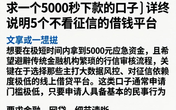 求一个5000秒下款的口子，详尽说明5个不看征信的借钱平台