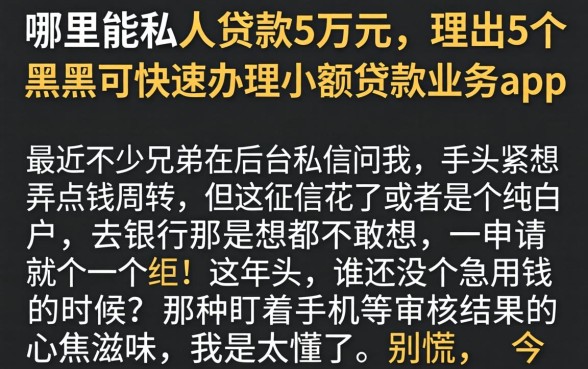 哪里能私人贷款5万元，理出5个黑户可快速办理小额贷款业务的app