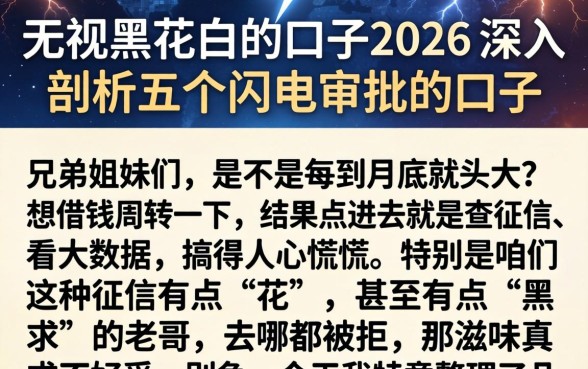 无视黑花白的口子2026,深入剖析五个闪电审批的口子