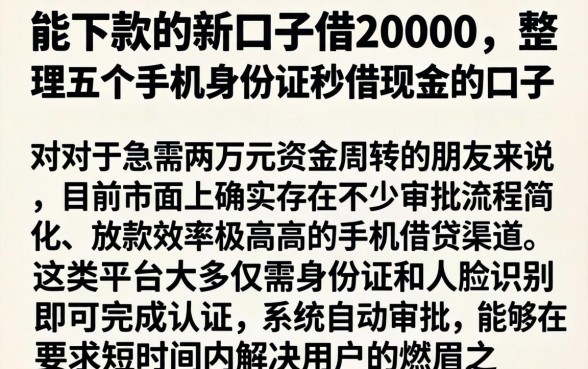 能下款的新口子借20000，整理五个手机身份证秒借现金的口子